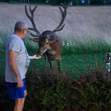 Karkonosz 4 木屋 斯克拉斯卡波伦巴